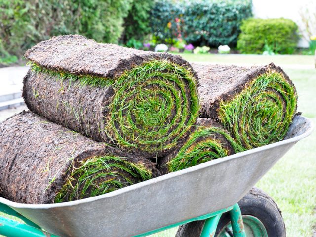 Rollrasenshop liefert den passenden Fertigrasen für Ihren Garten