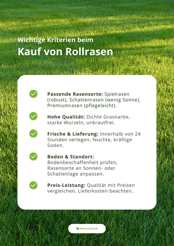 Kauf von Rollrasen